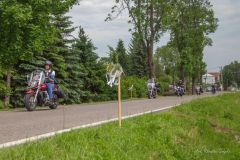 IMG_8842