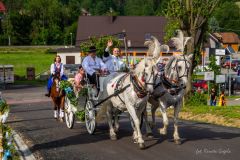 IMG_9168
