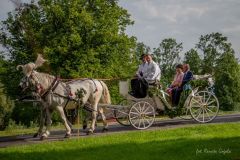 IMG_9408